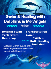Dolphin Swim & Healing