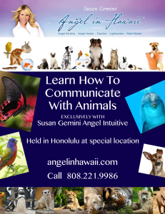 Animal-Communication