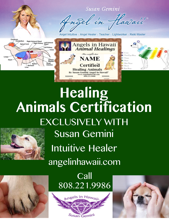 Animal-Healing