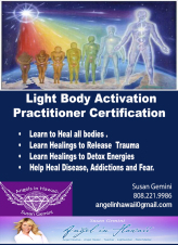 Light Body Practitioner Certification