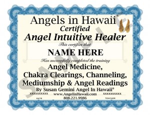 2013 angel  healer cert